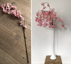 Cherry Blossom Stem