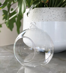 Hanging Glass Globe