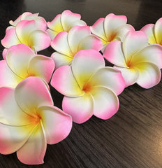 10 Pack Artificial Foam Frangipani Pink/Yellow/White - 7cm