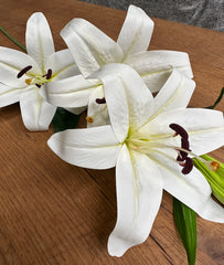 Artificial Stargazer Lily Stem