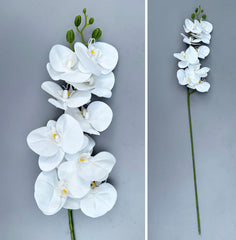 Artificial Orchid Stem - Various Colours