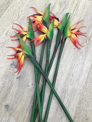 Artificial Bird Of Paradise Stem