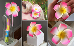 10 Pack Artificial Foam Frangipani Pink/Yellow/White - 7cm