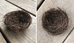 Mini Bird's Nest